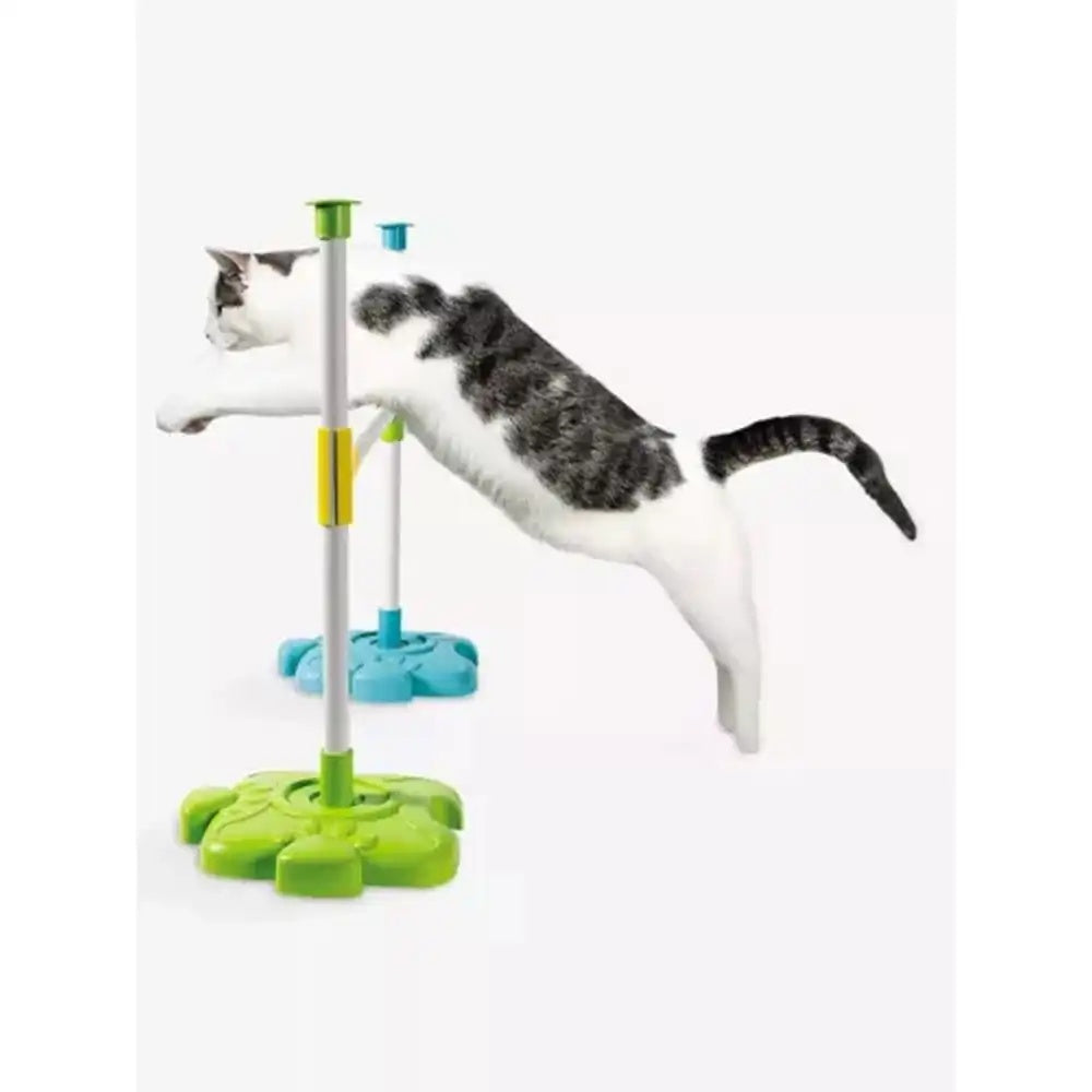 Clementoni Science & Play: My 4-Legged Friends Pet Activity Kit