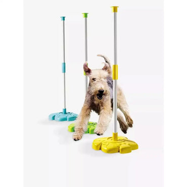 Clementoni Science & Play: My 4-Legged Friends Pet Activity Kit