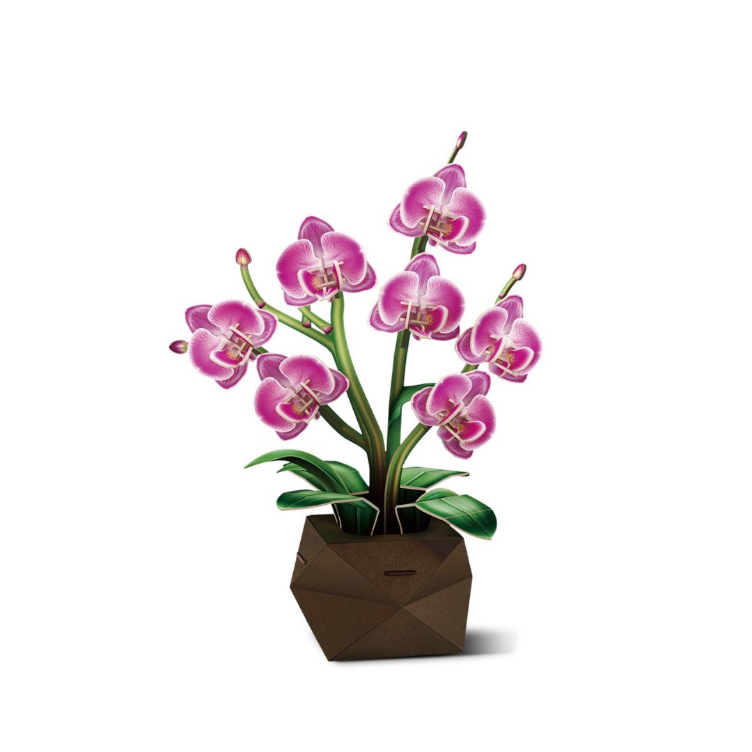 CubicFun: 3D Puzzle Single Flower - Orchid in Glass Dome (P872h)
