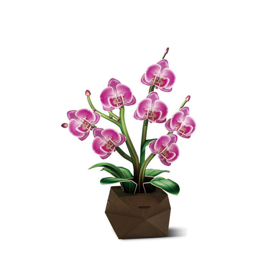 CubicFun: 3D Puzzle Single Flower - Orchid in Glass Dome (P872h)