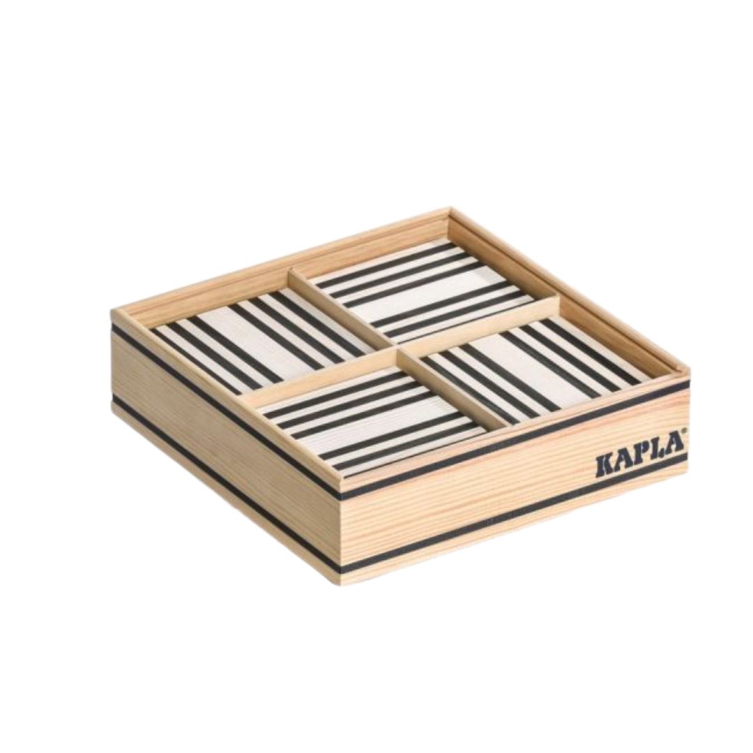Kapla Black and White Case