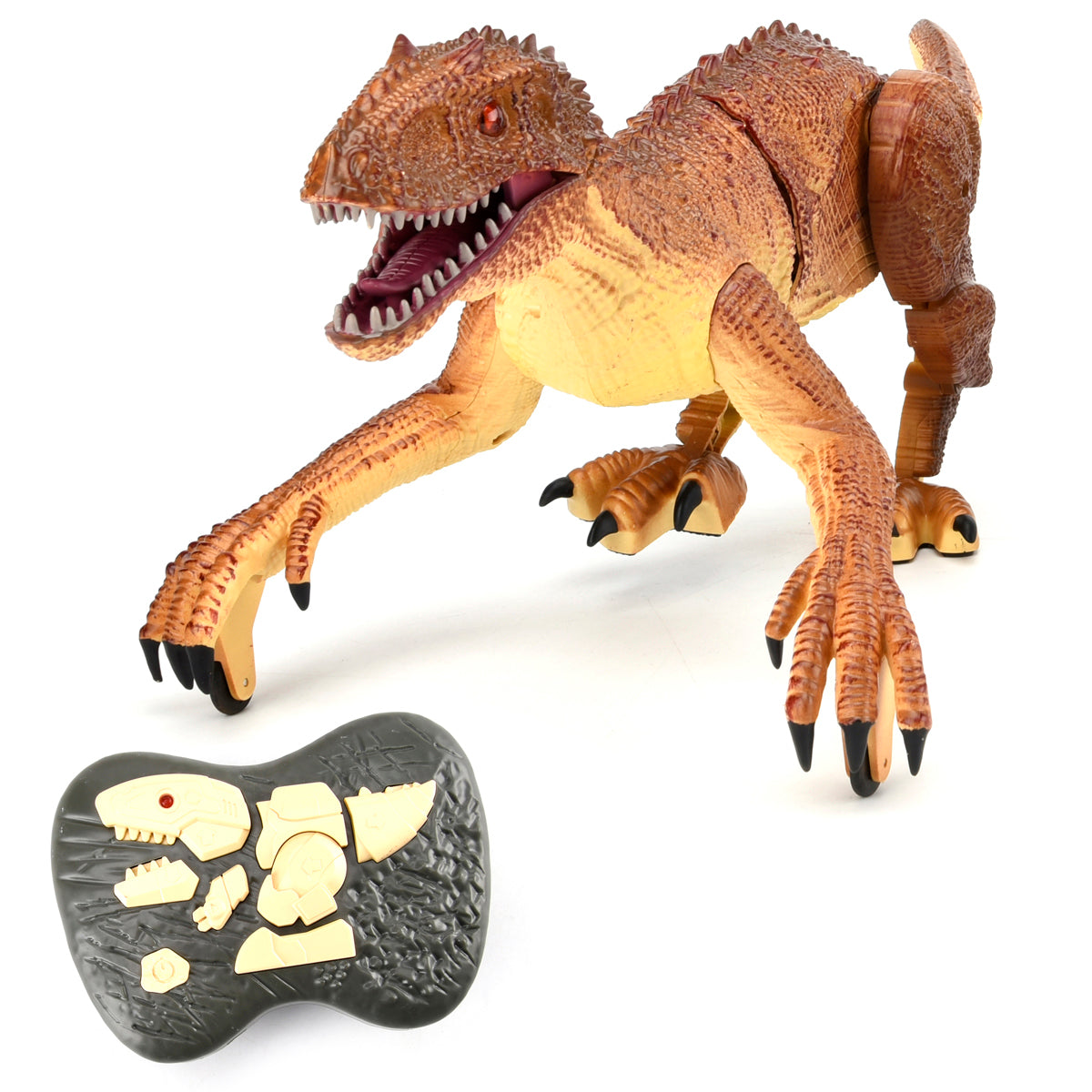 RC Roaring Raptor Brown Remote Control Dinosaur – ELCLEBANON